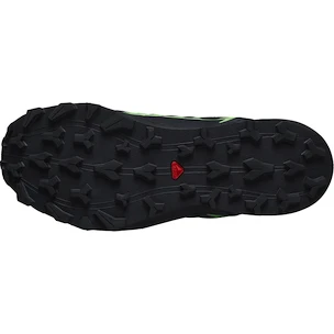 Herren Laufschuhe Salomon  GTX Black/Grgeck/Black