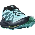 Herren Laufschuhe Salomon Pulsar Trail