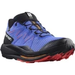 Herren Laufschuhe Salomon  Pulsar Trail GTX Dazzling Blue