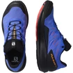 Herren Laufschuhe Salomon Pulsar Trail GTX Dazzling Blue