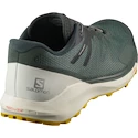 Herren Laufschuhe Salomon Sense Ride