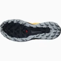 Herren Laufschuhe Salomon Sense Ride Sense Ride 4 Vibrant Orange / Ebony