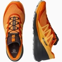Herren Laufschuhe Salomon Sense Ride Sense Ride 4 Vibrant Orange / Ebony