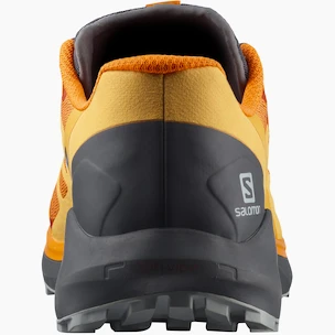Herren Laufschuhe Salomon Sense Ride Sense Ride 4 Vibrant Orange / Ebony