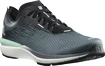 Herren Laufschuhe Salomon  Sonic 4 Accelerate Quiet Shade