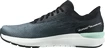 Herren Laufschuhe Salomon  Sonic 4 Accelerate Quiet Shade