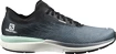 Herren Laufschuhe Salomon  Sonic 4 Accelerate Quiet Shade