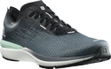 Herren Laufschuhe Salomon  Sonic 4 Accelerate Quiet Shade