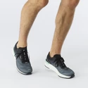 Herren Laufschuhe Salomon  Sonic 4 Accelerate Quiet Shade