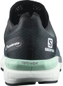 Herren Laufschuhe Salomon  Sonic 4 Accelerate Quiet Shade