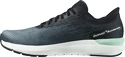Herren Laufschuhe Salomon  Sonic 4 Accelerate Quiet Shade