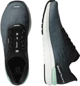 Herren Laufschuhe Salomon  Sonic 4 Accelerate Quiet Shade