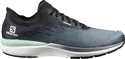 Herren Laufschuhe Salomon  Sonic 4 Accelerate Quiet Shade