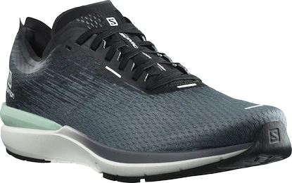 Herren Laufschuhe Salomon  Sonic 4 Accelerate Quiet Shade
