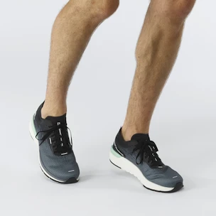 Herren Laufschuhe Salomon  Sonic 4 Accelerate Quiet Shade
