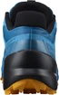 Herren Laufschuhe Salomon Speedcross 5 Crystal Teal