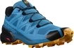 Herren Laufschuhe Salomon Speedcross 5 Crystal Teal