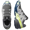 Herren Laufschuhe Salomon Speedcross 6 Castlerock/Lime Cream/Poseidon