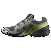 Herren Laufschuhe Salomon Speedcross 6 Castlerock/Lime Cream/Poseidon