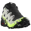 Herren Laufschuhe Salomon Speedcross 6 Gore-Tex Black/Alloy/Green Gecko