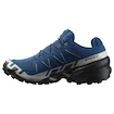 Herren Laufschuhe Salomon Speedcross 6 Gore-Tex Poseidon/Black/Lunar Rock