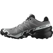 Herren Laufschuhe Salomon  Speedcross 6 Quiet Shade