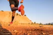 Herren Laufschuhe Salomon Speedcross