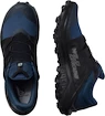 Herren Laufschuhe Salomon  Wildcross