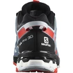 Herren Laufschuhe Salomon XA Pro 3D V8 GTX Black/Fiery Red