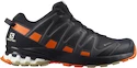 Herren Laufschuhe Salomon XA Pro 3D V8 GTX Night Sky