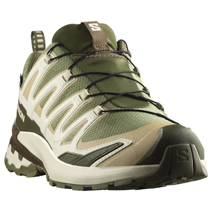 Herren Laufschuhe Salomon Xa Pro 3D V9 Gore-Tex Deep Lichen Green/Safari/Dark Earth