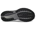 Herren Laufschuhe Saucony  Ride 15 TR GTX Black/Charcoal