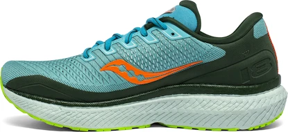 Herren Laufschuhe Saucony  Triumph 18
