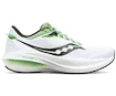 Herren Laufschuhe Saucony Triumph 21 White/Umbra