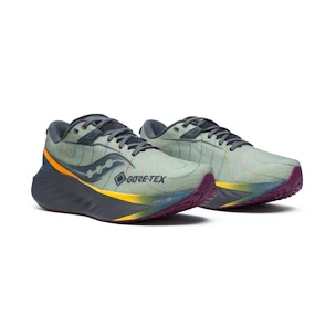 Herren Laufschuhe Saucony  Triumph 22 Gtx Sage/Carbon  UK 10,5