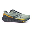 Herren Laufschuhe Saucony  Triumph 22 Gtx Sage/Carbon  UK 7,5