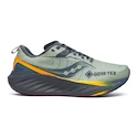 Herren Laufschuhe Saucony  Triumph 22 Gtx Sage/Carbon  UK 7,5