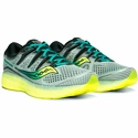 Herren Laufschuhe Saucony  Triumph