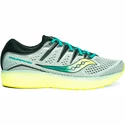 Herren Laufschuhe Saucony  Triumph