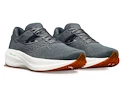 Herren Laufschuhe Saucony  Triumph RFG Navy