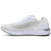 Herren Laufschuhe Under Armour