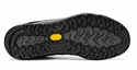Herren-Outdoorschuhe Asolo  Nucleon GV Graphite Brown