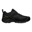 Herren-Outdoorschuhe Keen TARGHEE IV WP Triple black