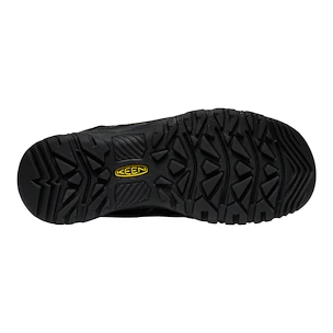 Herren-Outdoorschuhe Keen TARGHEE IV WP Triple black