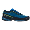 Herren-Outdoorschuhe La Sportiva  TX4 Gtx