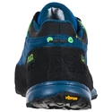 Herren-Outdoorschuhe La Sportiva  TX4 Gtx