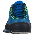 Herren-Outdoorschuhe La Sportiva  TX4 Gtx