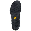 Herren-Outdoorschuhe La Sportiva  TX4 Gtx