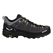 Herren-Outdoorschuhe Salewa  ALP Trainer 2 Gtx M Onyx/Black