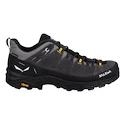 Herren-Outdoorschuhe Salewa  ALP Trainer 2 Gtx M Onyx/Black